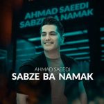 دانلود آهنگ جدید احمد سعیدی به نام سبزه با نمک